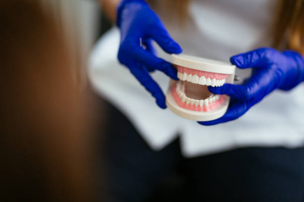 Best Cosmetic Dentistry  in Warren Park, IN